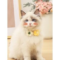 1 piece of hand woven cat collar comfortable knit flower cute cat scarf small dog saliva towel pet accessory Lightinthebox - thumbnail