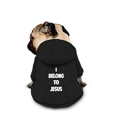 Dog Cat Pet Pouch Hoodie Graphic Quotes  Sayings Fashion Casual Outdoor Casual Daily Winter Dog Clothes Puppy Clothes Dog Outfits Breathable Black White Yellow Costume for Girl and Boy Dog Polyster Lightinthebox