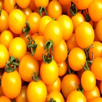 50Pcs Yellow Tomatoes Seeds Green Plants Vegetables Seeds - thumbnail