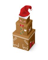 Homesmiths 3 Pieces Novelty Boxes with Plush X-31088-BXC Homesmiths 3 Pieces Novelty Boxes with Plush X-31088-BXC