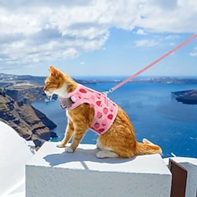 3pc Set Soft Cat Harness And Leash Collar Set Pet Harness For KittiesPuppies Small Pets Walking Lightinthebox