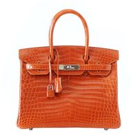 Birkin 30 Bag Orange Feu Crocodile Palladium Hardware Birkin 30 Bag Orange Feu Crocodile Palladium Hardware
