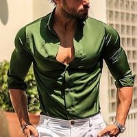 Men's Shirt Button Up Shirt Casual Shirt Satin Silk Shirt Black White Wine Blue Green Long Sleeve Plain Lapel Daily Vacation Clothing Apparel Fashion Casual Comfortable Lightinthebox - thumbnail
