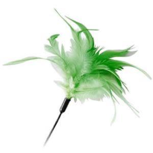 Pawsitiv Interactive Cat Teaser Wand Toy Feather Green Small