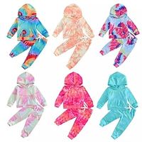 2 Pieces Toddler Girls' Tie Dye Pocket Pants Suit Set Long Sleeve Active Formal 3-7 Years Spring Pink Red Royal Blue Lightinthebox - thumbnail