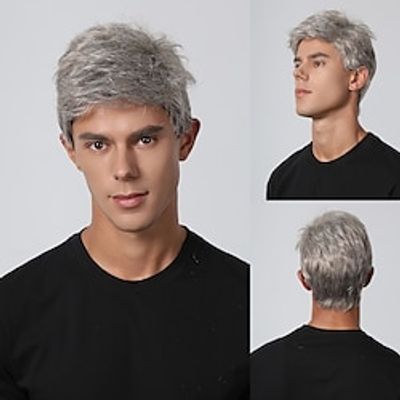 Synthetic Wig kinky Straight Middle Part Layered Haircut Machine Made Wig 8 inch Gray Synthetic Hair Men's Cosplay Party Fashion Blonde Christmas Party Wigs miniinthebox Synthetic Wig kinky Straight Middle Part Layered Haircut Machine Made Wig 8 inch Gray Synthetic Hair Men's Cosplay Party Fashion Blonde Christmas Party Wigs miniinthebox