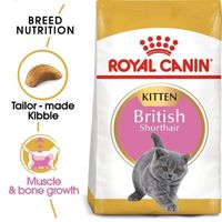 Royal Canin Feline Breed Nutrition British Shorthair Kitten 2 Kg Dry C at Food