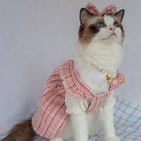 pink 2 Piece Strap Dress Shirt Pink Plaid Headflower Necklace Lightinthebox - thumbnail