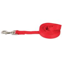 Petmate Aspen Pet Nylon Dog Lead 3/8 Inch X 5 Inch, Red