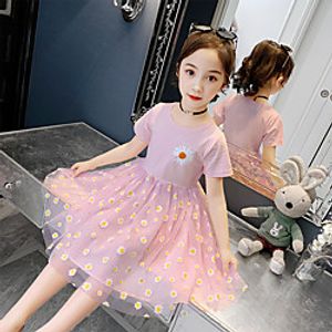 girls' dresses 2020 new summer dresses, big children's net red foreign princess dresses, little girls dresses Lightinthebox