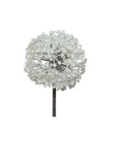 Homesmiths Christmas Allium On Stem Plastic White