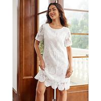 Women's Casual Dress Shift Dress Mini Dress Lace Casual Crew Neck White Color Lightinthebox