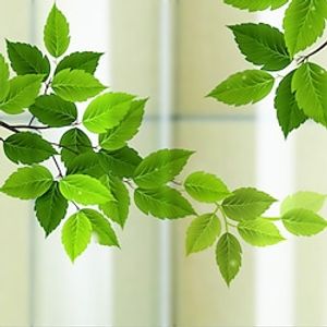 Green Leaves Matte Window Film Cling Vinyl Thermal-Insulation Privacy Protection Home Decor For Window Cabinet Door Sticker Window Sticker - 60X58CM miniinthebox