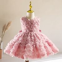 Kids Girls' Party Dress Rose Flower Sleeveless Christening dress Princess Polyester Summer 3-10 Years Champagne Rose Red Lightinthebox - thumbnail