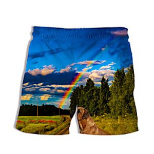 Men's Casual Designer Quick Dry Breathable Beach Swimming Pool Bermuda shorts Board Shorts Burmuda Shorts Pants Rainbow Graphic Prints Landscape Short 3D Print Drawstring Elastic Waist Blue  Summer Lightinthebox