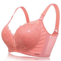 Sexy Embroidered Wireless Lace-trim Bra