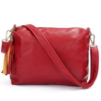 Women Casual Crossbody Bag Tassel Messenger Bag Leisure Zipper Shoulder Bag