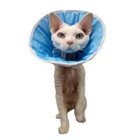 Chadog Diffusion Soft Wound Protection Collar For Pets 30-36Cm Chadog Diffusion Soft Wound Protection Collar For Pets 30-36Cm