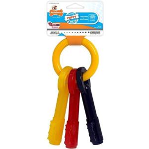 Nylabone Puppy Teething Keys Chew Toys - Large