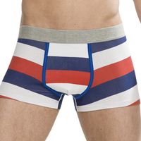 Casual Hernia Underwear Cotton Soft Stripes Printing Breathable Boxer Briefs for Men