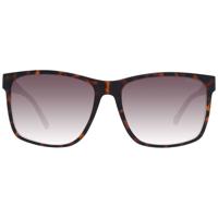 Guess Brown Men Sunglasses - GU-1042465