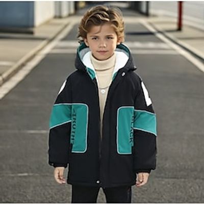 Kids Boys Down Coat Outerwear Solid Color Graphic Long Sleeve Zipper Coat Outdoor Cool Daily Model 2328 brick red rxbb328 embroidered velvet jacket red ppdd color block cotton coat 555 green Spring Lightinthebox