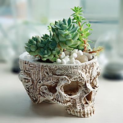 Skeleton Head Design Resin Succulent Plant Flower Pot Planter Container Large Flowerpot Halloween Props Treat Container for Home Office Desk Decoration Lightinthebox