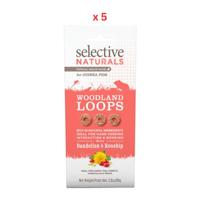 Supreme Selective Naturals Woodland Loops Guinea Pig Treat 80g Pack Of 5