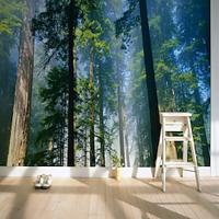 Cool Wallpapers Forest Wallpaper Wall Mural Wall Sticker Covering Print Peel and Stick Removable Self Adhesive Secret Forest PVC / Vinyl Home Decor Lightinthebox