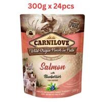 Carnilove Salmon With Blueberries For Puppies (Wet Food Pouches) 300gX24pcs Carnilove Salmon With Blueberries For Puppies (Wet Food Pouches) 300gX24pcs