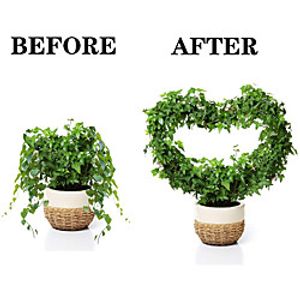 Outdoor Garden Plant Bracket Climbing Frame Wrought Iron Support Garland Heart-Shaped Round Indoor Balcony Bracket miniinthebox