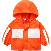 Toddler Boys Coat Outerwear Letter Long Sleeve Patchwork Coat School Fashion Cool Blue Orange Winter Fall 3-7 Years Lightinthebox - thumbnail