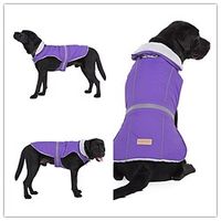 Dog Cat Coat Sweatshirt Pet Pouch Hoodie Plaid Color Block Fashion Cute Casual Daily Outdoor Dog Clothes Puppy Clothes Dog Outfits Reflective Black  Red Gray  Black Black Costume for Girl and Boy Lightinthebox - thumbnail