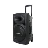 Sonashi 12inch Rechargeable Trolley Speaker - SPS-7812RT