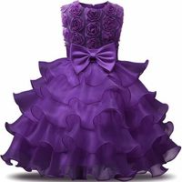 Girls Pleated Flower Princess Dress