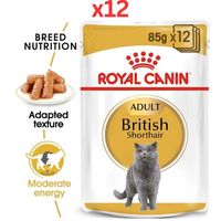 Royal Canin Feline Breed Nutrition British Shorthair Cat Wet Food Pouches