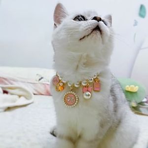 Pet Necklaces Handmade Accessories Small Fragrance Accessories Adjusted To Look Good Lightinthebox