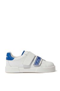 DNA Sneakers