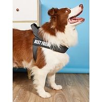 Dog Cat Harness Adjustable Vest Sports Adjustable Outdoor Letter Classic Polyester Small Dog Medium Dog Large Dog Black 1PC Lightinthebox - thumbnail