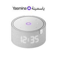 Yasmina AI Enabled Smart Bluetooth Speaker Midi, Grey