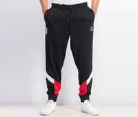 Mens Iconic Mcs Track Pants  Black - thumbnail
