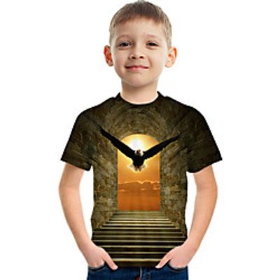 Kids Boys' T shirt Tee Short Sleeve Graphic Rainbow Children Tops Active 3-12 Years Lightinthebox