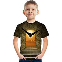 Kids Boys' T shirt Tee Short Sleeve Graphic Rainbow Children Tops Active 3-12 Years Lightinthebox - thumbnail