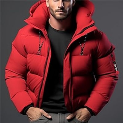 Men's Winter Coat Winter Jacket Puffer Jacket Zipper Pocket Polyster Outdoor Date Casual Daily Regular Fashion Casual Windproof Warm Winter Plain Black White Red Blue Puffer Jacket miniinthebox
