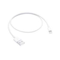 Apple Lightning to USB Cable (0.5m)