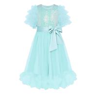 Girl Party Dress Short Sleeves Sequin Tulle Crewneck Princess Dresses for Girls Size 5-12 Lightinthebox