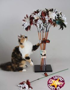 Vee Enterprises Purrfect Crinkle Bouncer