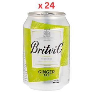 Britvic Ginger Ale Can 300 Ml x 24 Carton