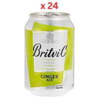 Britvic Ginger Ale Can 300 Ml x 24 Carton