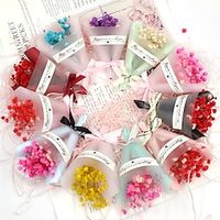 1pcs Valentine's Day Baby's Breath Mini Flower Bouquet Dried Flowers Chinese Valentine's Day Festival Gift Box Candy With Wedding Gifts. miniinthebox - thumbnail